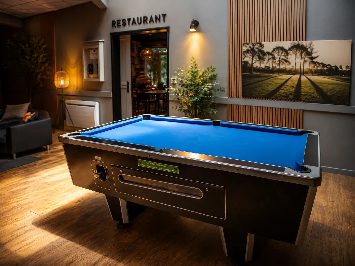 The lounge — pool table