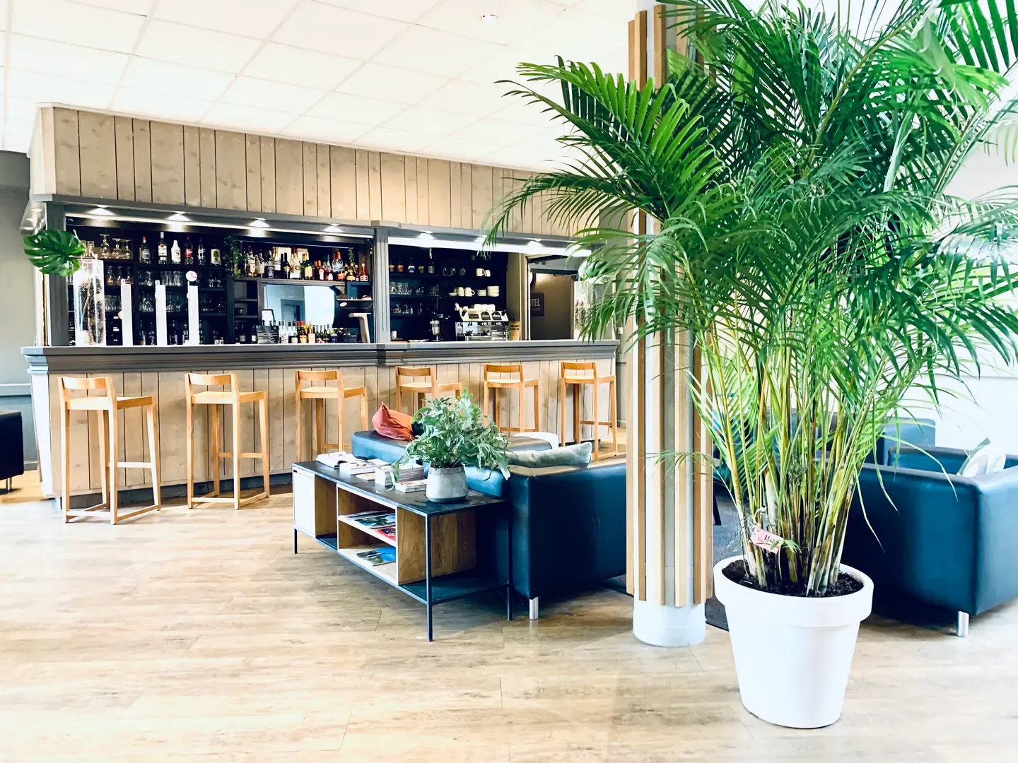 The bar — garden side