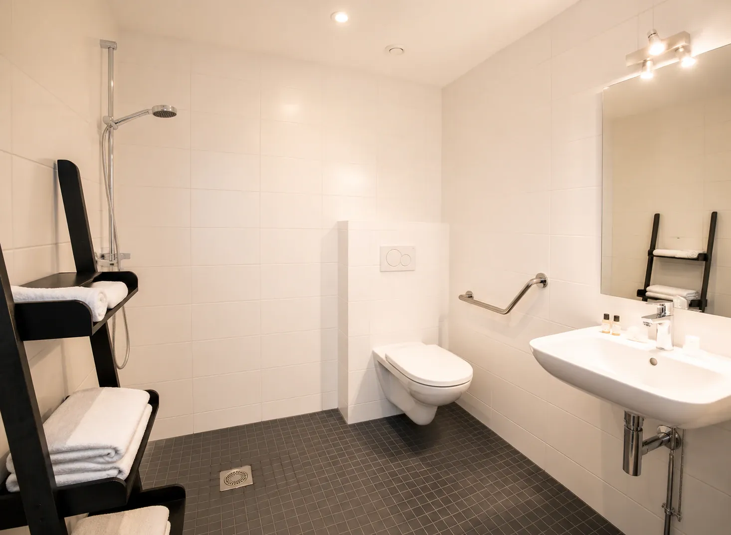 Salle d'eau adaptée — accès PMR