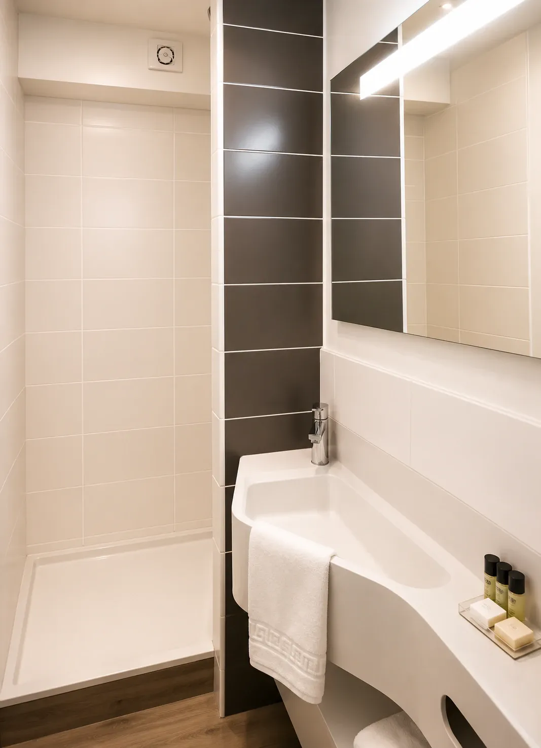 Salle d'eau — lavabo et douche