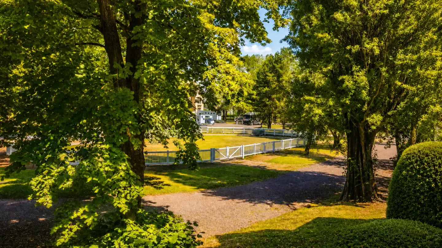 Sous-bois — vers le paddock