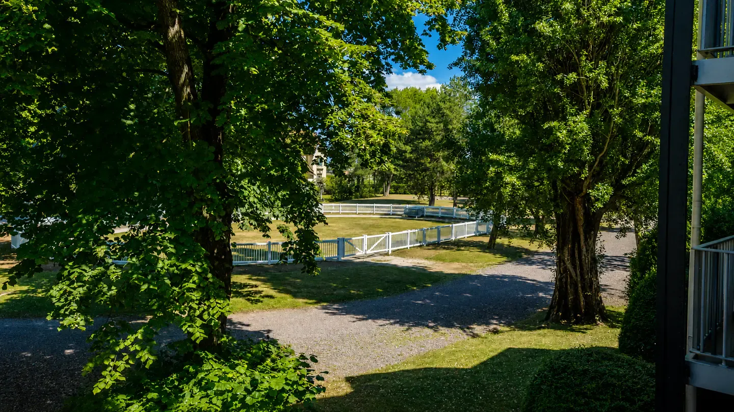Die bewaldete Umgebung des Hippotel